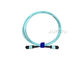 Male / Female 12 Fo Fiber Optic Patch Cord 10GB Om3 Mpo Mtp In Blue Color